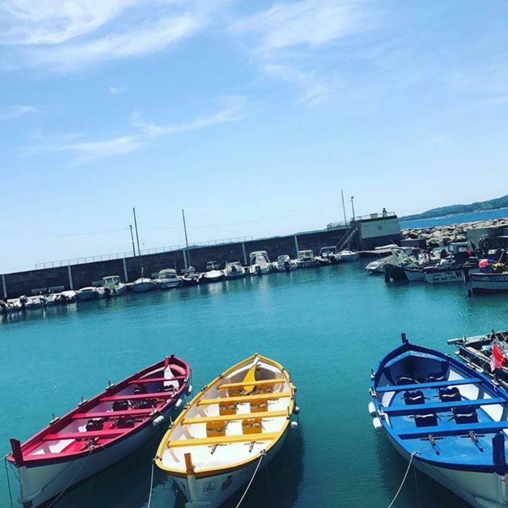 Front Beach Luxury Near Nice Airport كانيو سور مير المظهر الخارجي الصورة